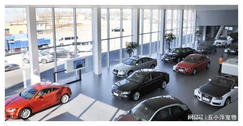 8200万汽车消费券成功发放，汽车销售行业或迎新爆发